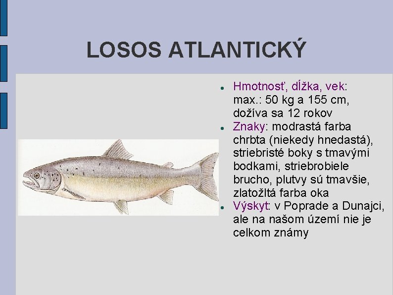 LOSOS ATLANTICKÝ Hmotnosť, dĺžka, vek: max. : 50 kg a 155 cm, dožíva sa