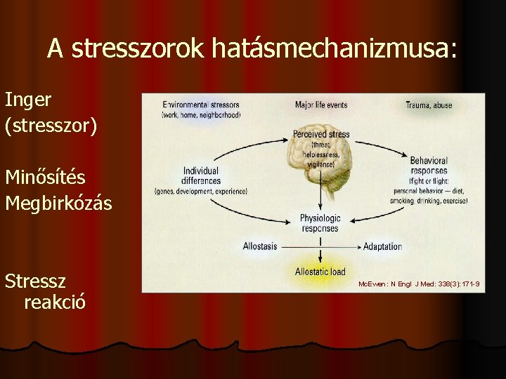 A stresszorok hatásmechanizmusa: Inger (stresszor) Minősítés Megbirkózás Stressz reakció Mc. Ewen: N Engl J