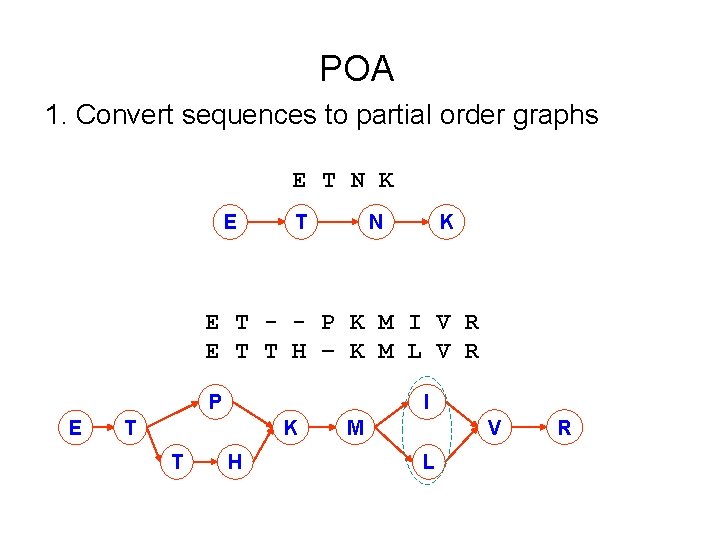 POA 1. Convert sequences to partial order graphs E T N K E T