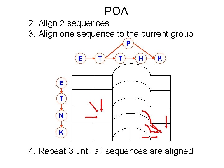 POA 2. Align 2 sequences 3. Align one sequence to the current group P