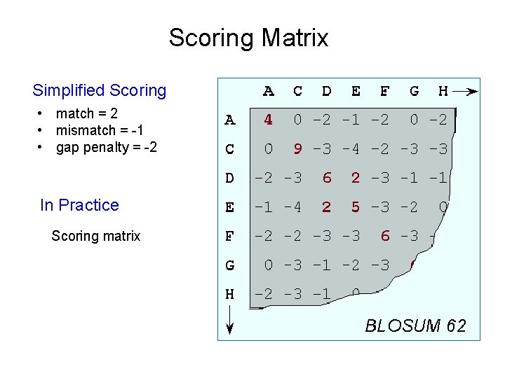 Scoring Matrix Simplified Scoring • match = 2 • mismatch = -1 • gap
