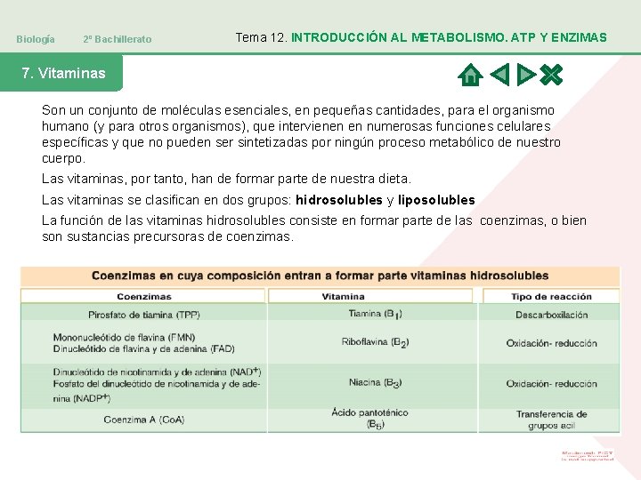 Biología 2º Bachillerato Tema 12. INTRODUCCIÓN AL METABOLISMO. ATP Y ENZIMAS 7. Vitaminas Son