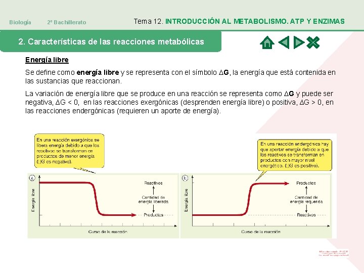 Biología 2º Bachillerato Tema 12. INTRODUCCIÓN AL METABOLISMO. ATP Y ENZIMAS 2. Características de