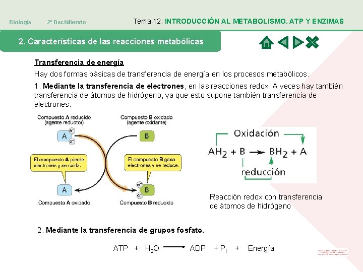 Biología Tema 12. INTRODUCCIÓN AL METABOLISMO. ATP Y ENZIMAS 2º Bachillerato 2. Características de