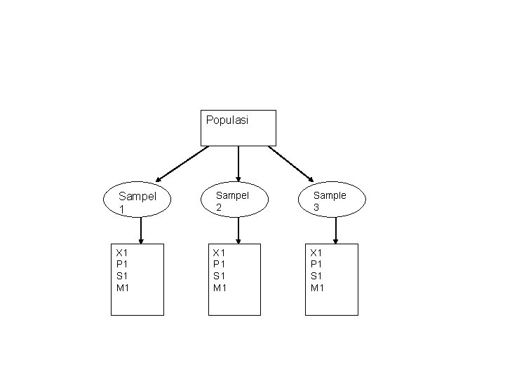 Populasi Sampel 1 Sampel 2 Sample 3 X 1 P 1 S 1 M