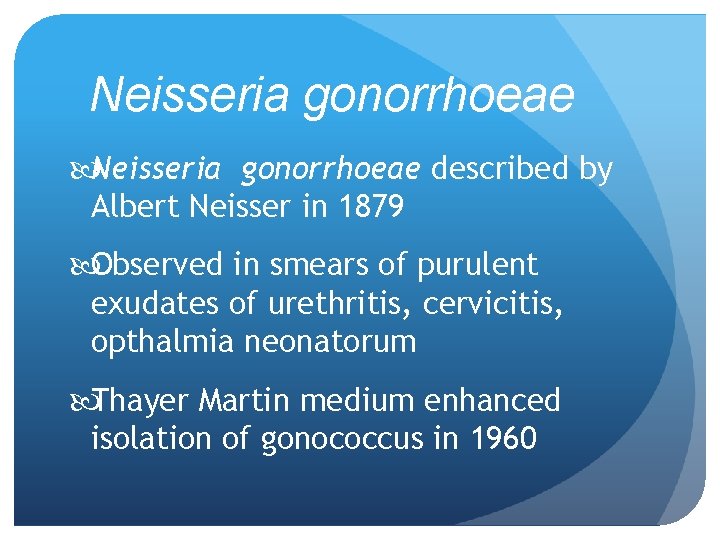 Neisseria gonorrhoeae described by Albert Neisser in 1879 Observed in smears of purulent exudates Neisseria gonorrhoeae described by Albert Neisser in 1879 Observed in smears of purulent exudates