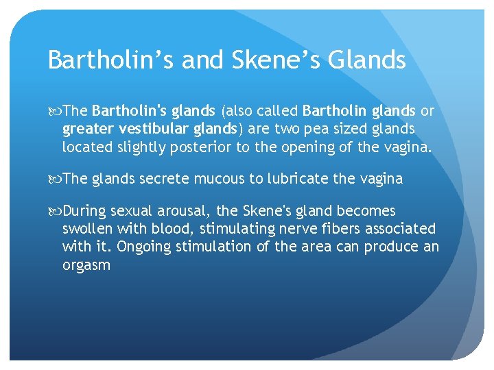 Bartholin’s and Skene’s Glands The Bartholin's glands (also called Bartholin glands or greater vestibular