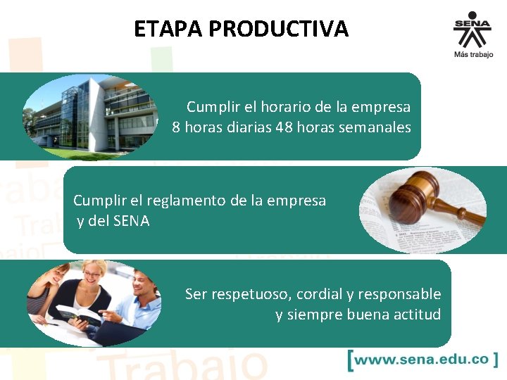 ETAPA PRODUCTIVA Cumplir el horario de la empresa 8 horas diarias 48 horas semanales