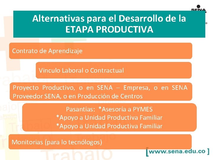 Alternativas para el Desarrollo de la ETAPA PRODUCTIVA Contrato de Aprendizaje Vinculo Laboral o