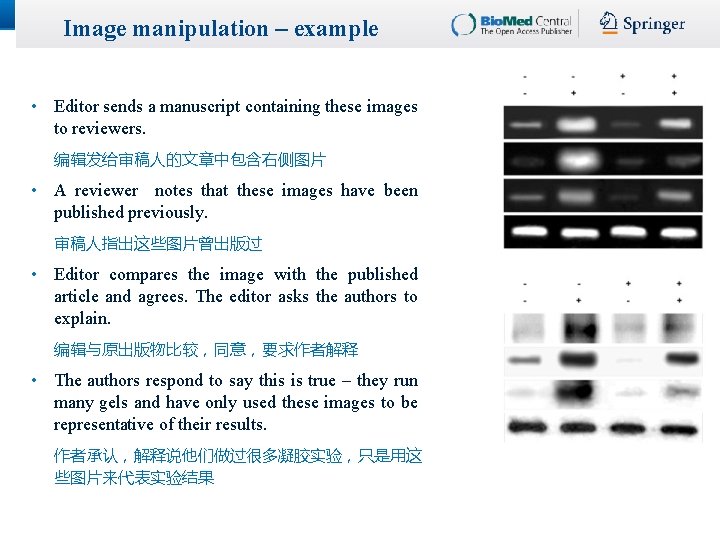 Image manipulation – example • Editor sends a manuscript containing these images to reviewers. Image manipulation – example • Editor sends a manuscript containing these images to reviewers.