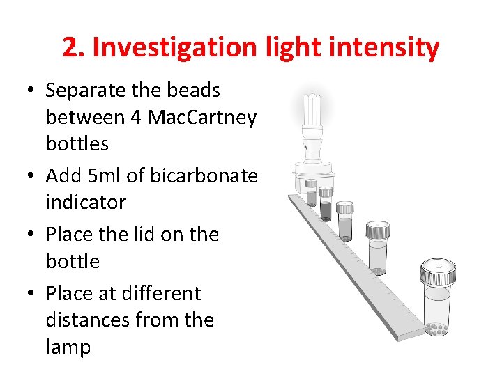 2. Investigation light intensity • Separate the beads between 4 Mac. Cartney bottles •
