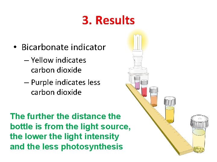 3. Results • Bicarbonate indicator – Yellow indicates carbon dioxide – Purple indicates less
