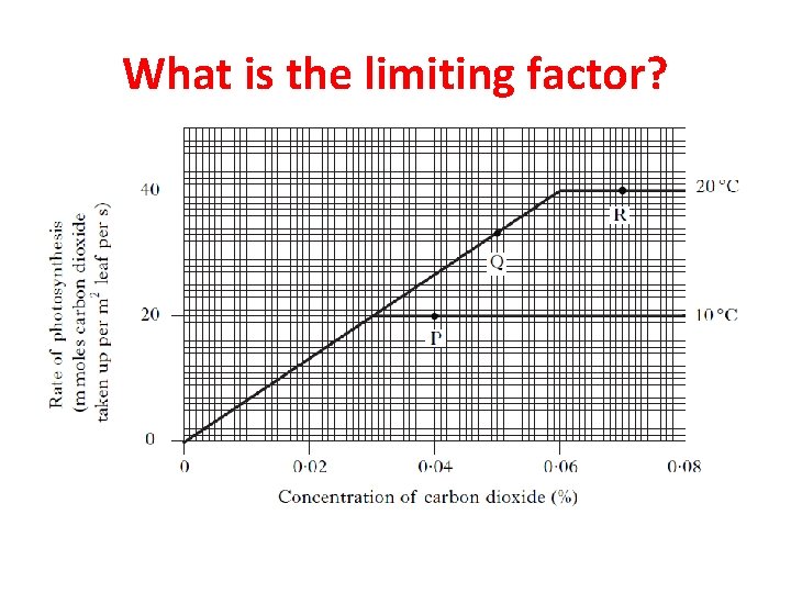 What is the limiting factor? 