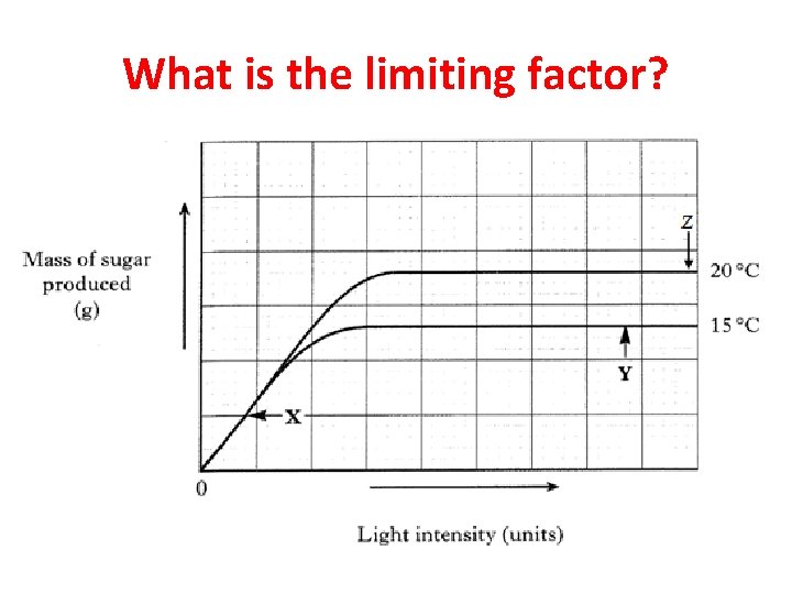 What is the limiting factor? 