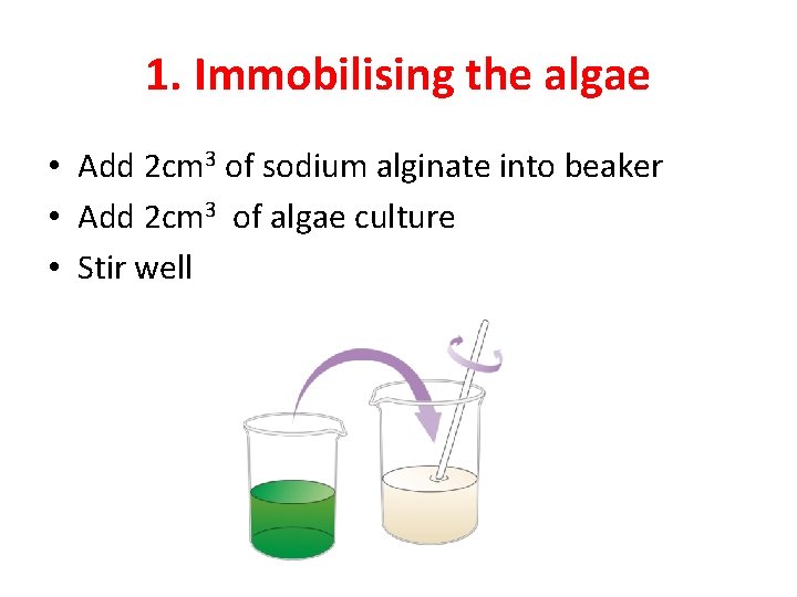 1. Immobilising the algae • Add 2 cm 3 of sodium alginate into beaker