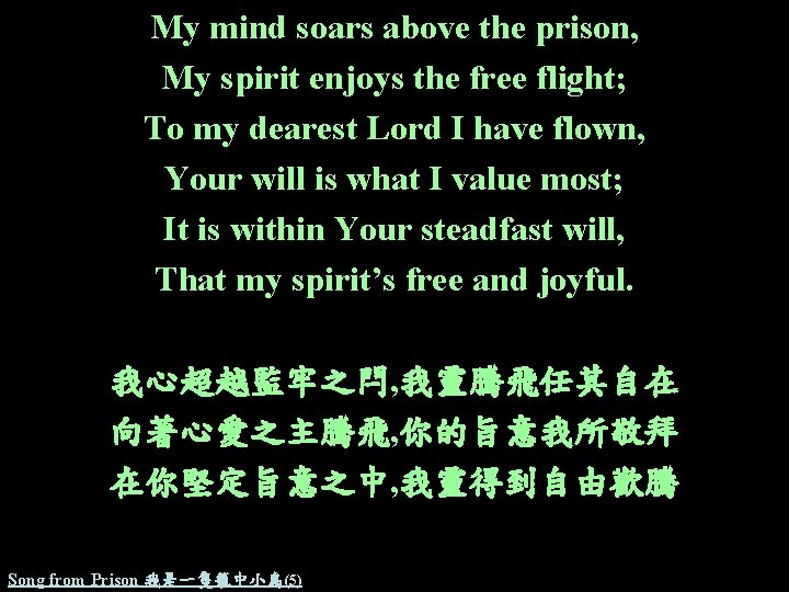 My mind soars above the prison, My spirit enjoys the free flight; To my