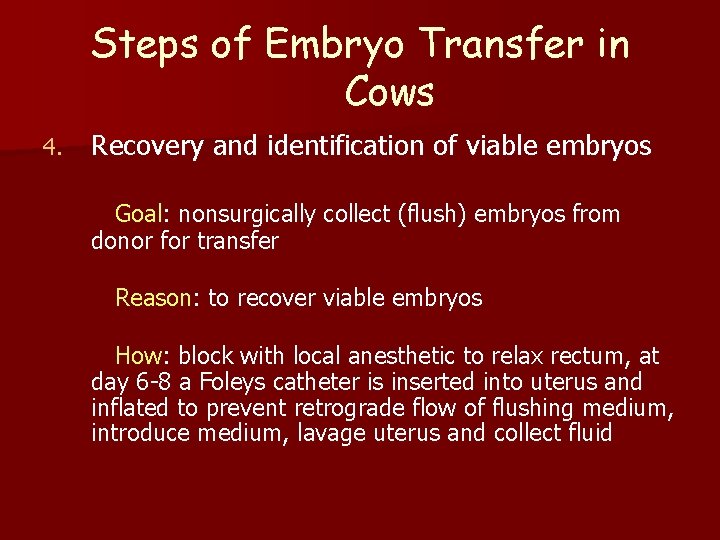 Steps of Embryo Transfer in Cows 4. Recovery and identification of viable embryos Goal: