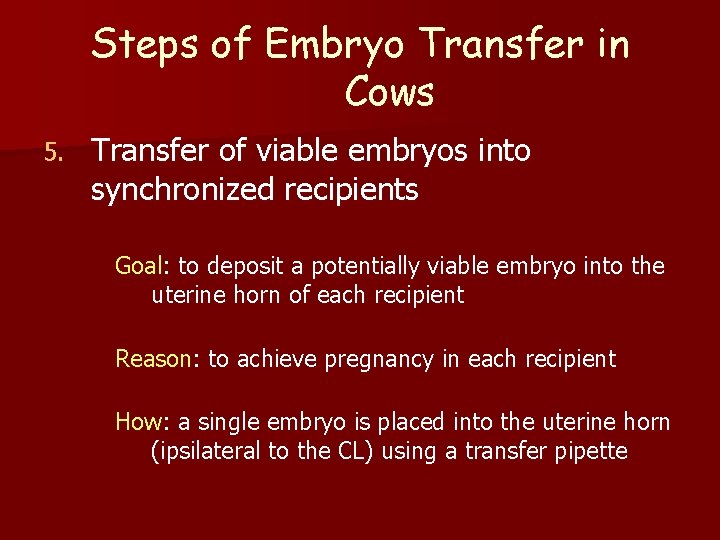 Steps of Embryo Transfer in Cows 5. Transfer of viable embryos into synchronized recipients