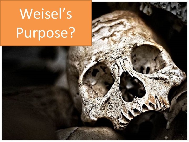 Weisel’s Purpose? 