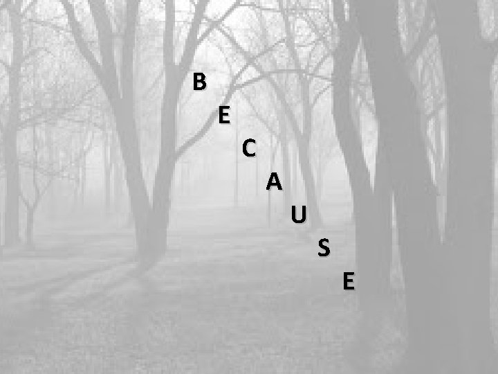 B E C A U S E B E C A U S E