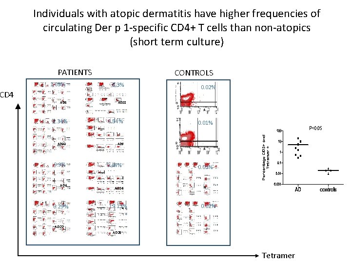 Individuals with atopic dermatitis have higher frequencies of circulating Der p 1 -specific CD