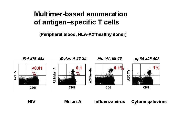 Multimer-based enumeration of antigen–specific T cells (Peripheral blood, HLA-A 2+healthy donor) CD 8 HIV
