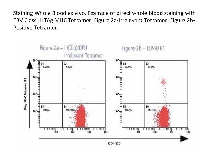 Staining Whole Blood ex vivo. Example of direct whole blood staining with EBV Class