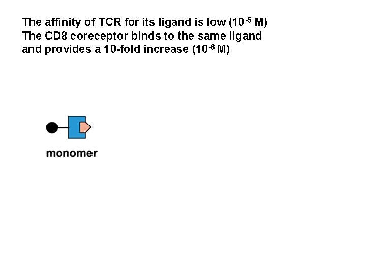 The affinity of TCR for its ligand is low (10 -5 M) The CD