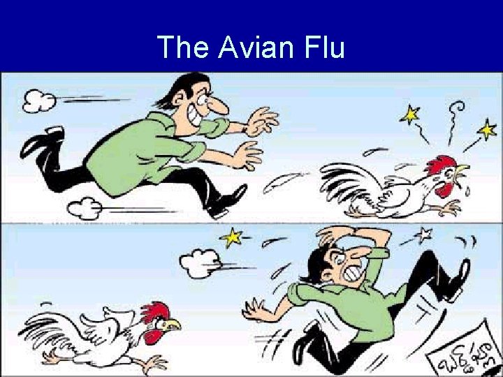 The Avian Flu 