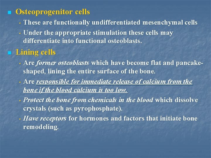 n Osteoprogenitor cells • • n These are functionally undifferentiated mesenchymal cells Under the