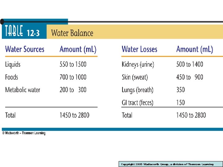Copyright 2005 Wadsworth Group, a division of Thomson Learning 