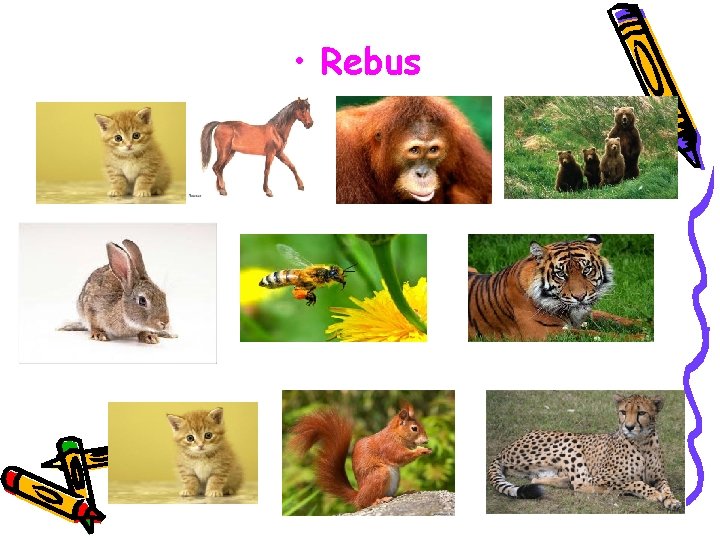  • Rebus 