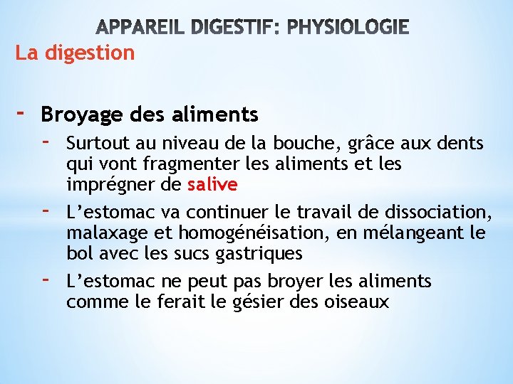 La digestion - Broyage des aliments - Surtout au niveau de la bouche, grâce