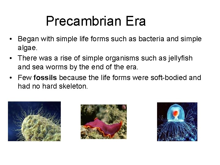 Precambrian Era • Began with simple life forms such as bacteria and simple algae.