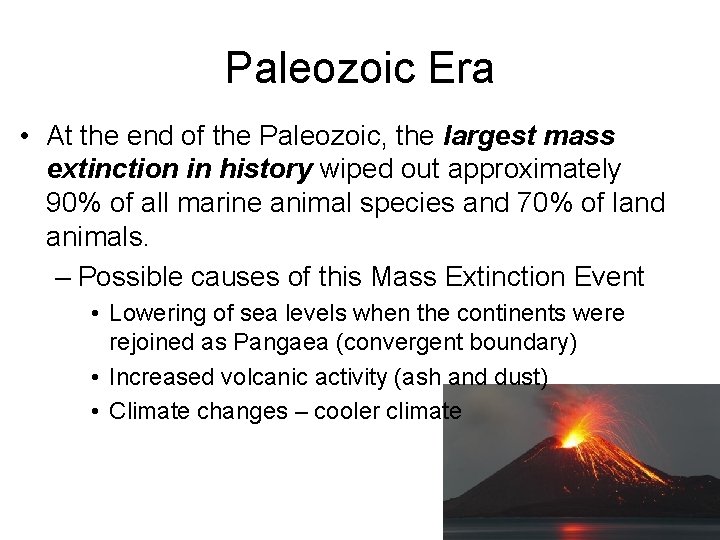 Paleozoic Era • At the end of the Paleozoic, the largest mass extinction in