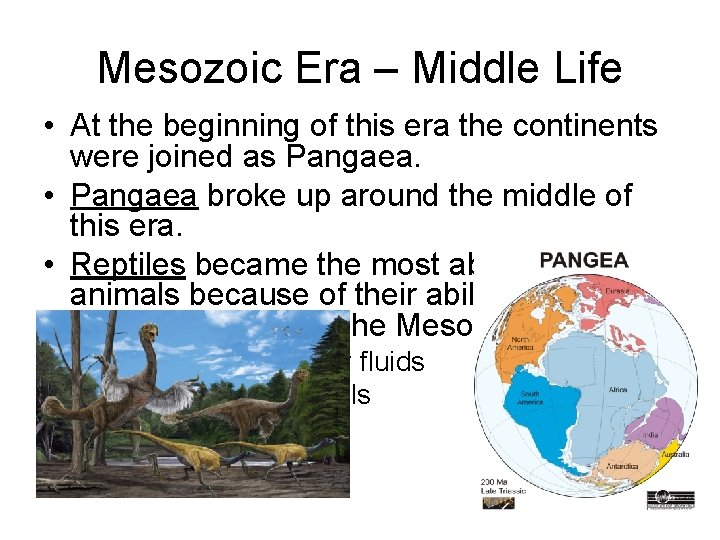 Mesozoic Era – Middle Life • At the beginning of this era the continents