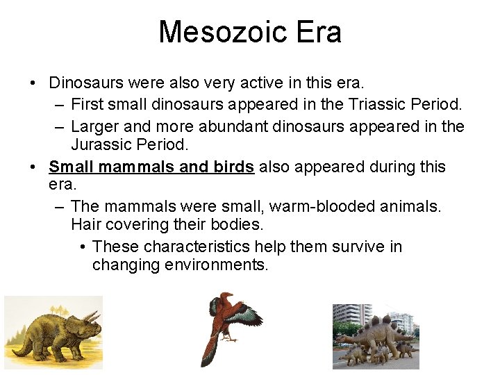 Mesozoic Era • Dinosaurs were also very active in this era. – First small