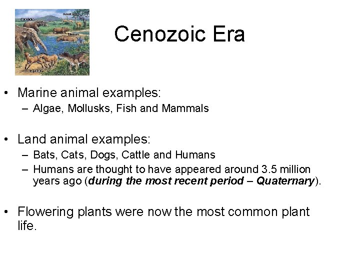 Cenozoic Era • Marine animal examples: – Algae, Mollusks, Fish and Mammals • Land