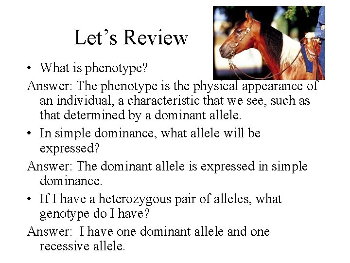 Let’s Review • What is phenotype? Answer: The phenotype is the physical appearance of