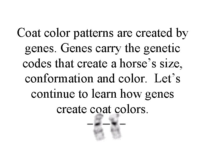 Coat color patterns are created by genes. Genes carry the genetic codes that create