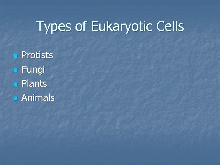 Types of Eukaryotic Cells n n Protists Fungi Plants Animals 