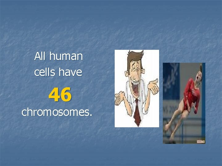All human cells have 46 chromosomes. 