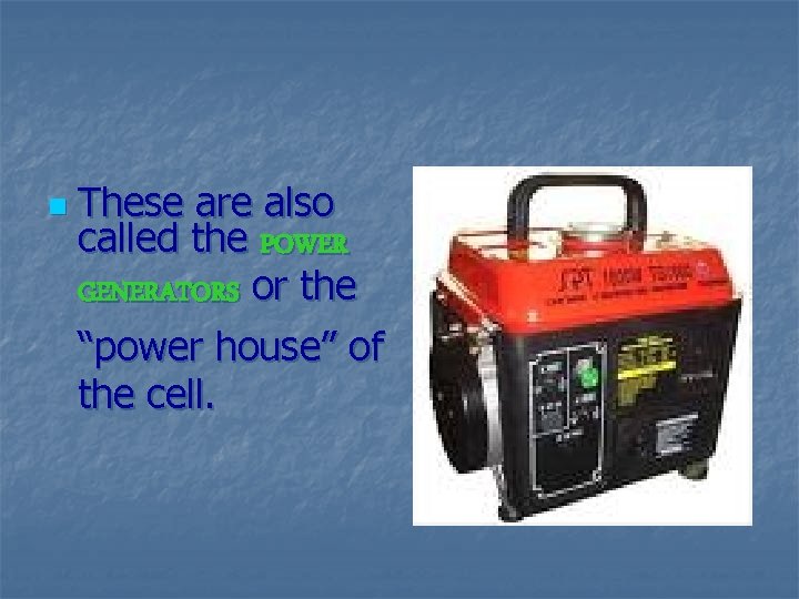 n These are also called the POWER GENERATORS or the “power house” of the