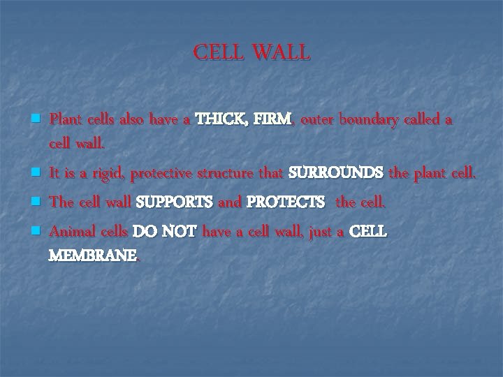 CELL WALL n n Plant cells also have a THICK, FIRM, outer boundary called