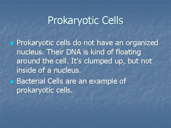 Prokaryotic Cells n n Prokaryotic cells do not have an organized nucleus. Their DNA