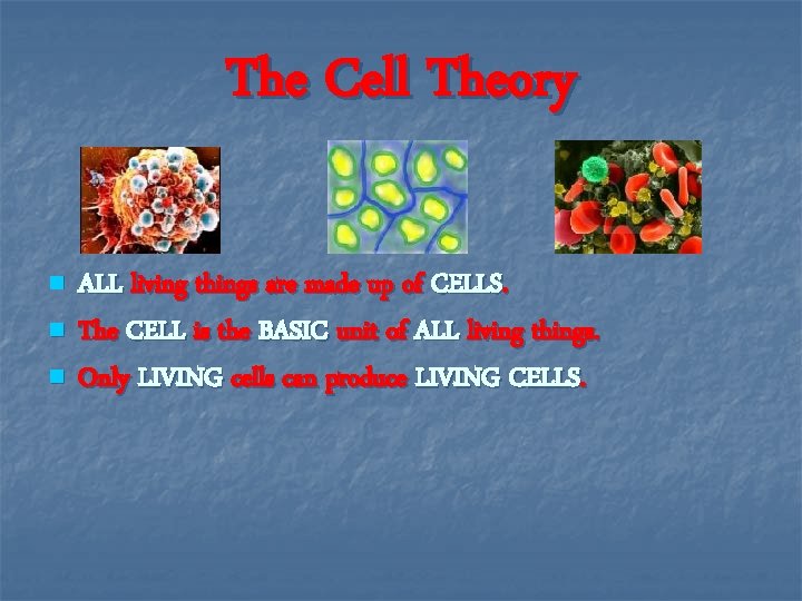 The Cell Theory n n n ALL living things are made up of CELLS.