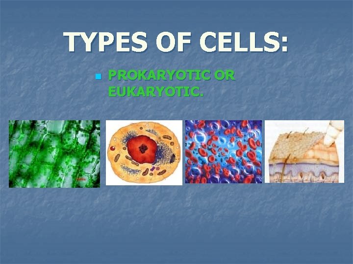 TYPES OF CELLS: n PROKARYOTIC OR EUKARYOTIC. 