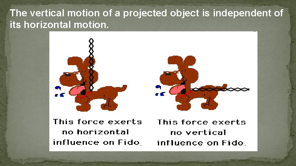 The vertical motion of a projected object is independent of its horizontal motion. 