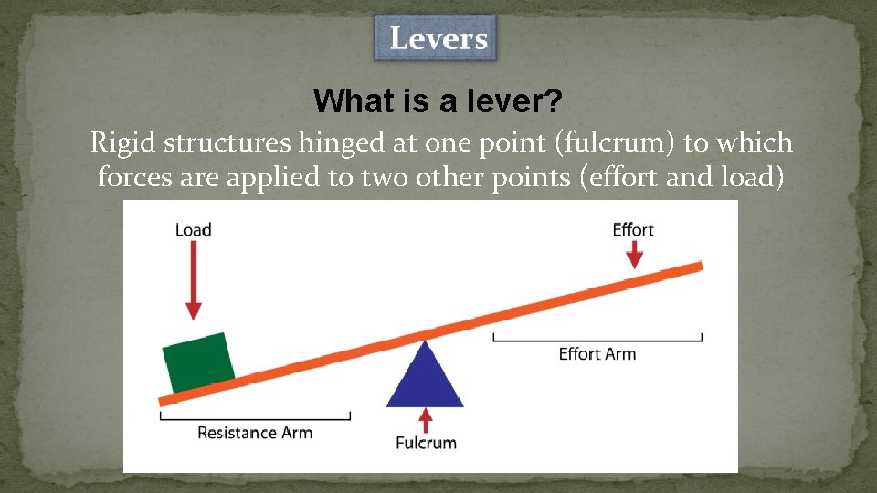 What is a lever? Rigid structures hinged at one point (fulcrum) to which forces