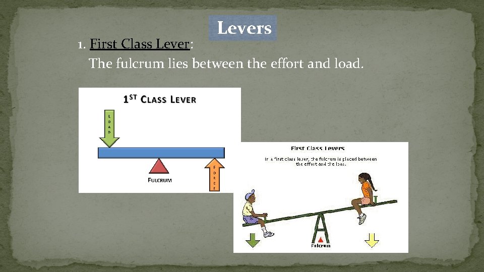  Levers 1. First Class Lever: The fulcrum lies between the effort and load.